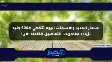 أسعار الحديد والأسمنت اليوم تتخطى الـ600 جنيه بزيادة مفاجئة.. التفاصيل الكاملة الآن!